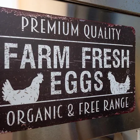 Alojamento de Acomodação e Pequeno-almoço Terracotta