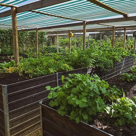 Alojamento de Acomodação e Pequeno-almoço Terracotta