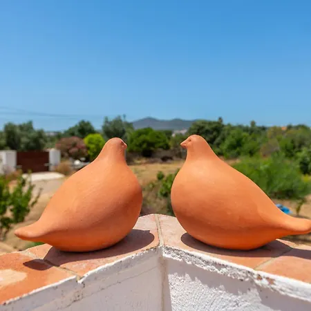 Terracotta Alojamento de Acomodação e Pequeno-almoço 3*