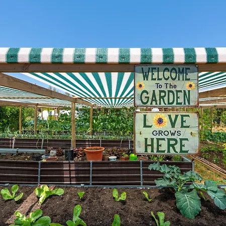 Terracotta 3* مونكاراباشو