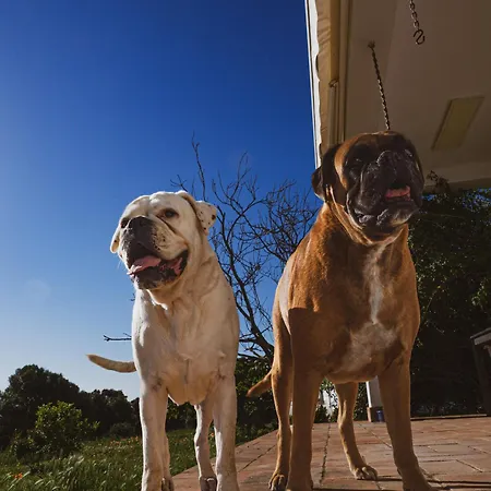 فندق مبيت وإفطار Terracotta مونكاراباشو